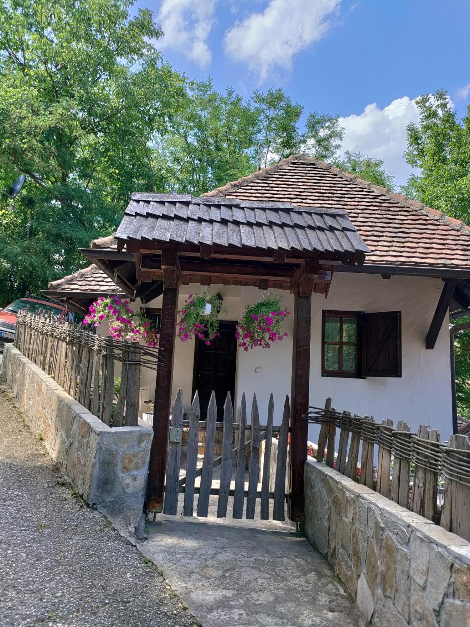 Konak Lecic Trsic Экстерьер фото